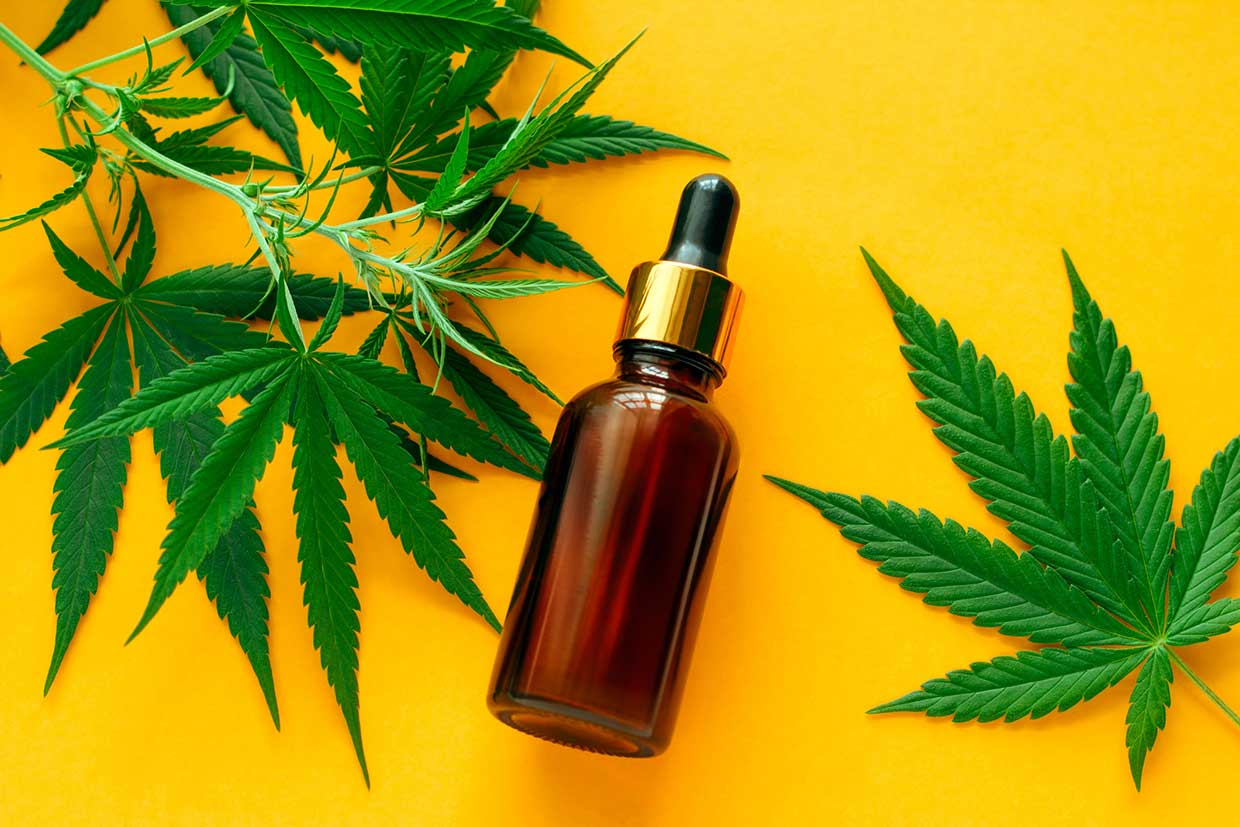 Learn how you can use CBD oil (CBD Öl) to relax your body every night